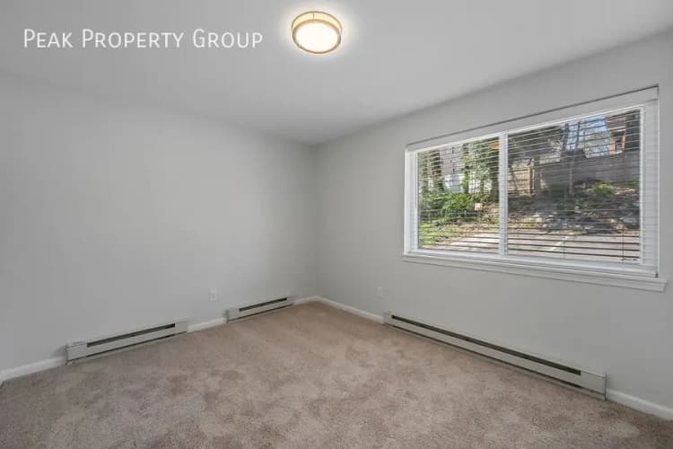 Cincinnati apartments for rent - image - large (7).jpg