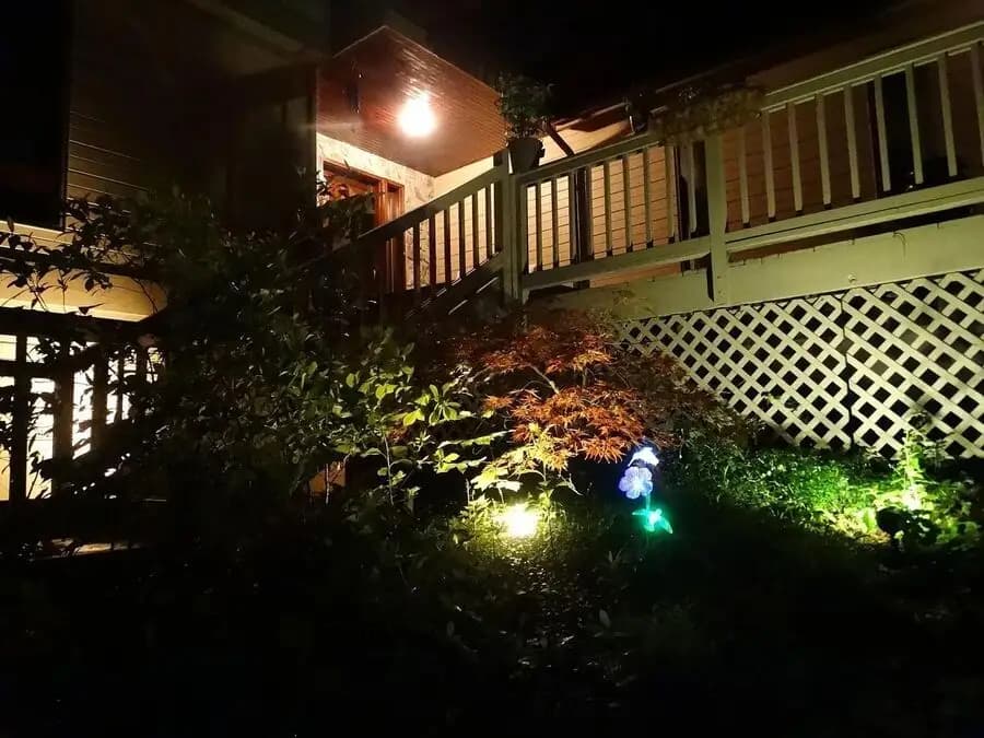 3533 Woodland Trail - House - 2