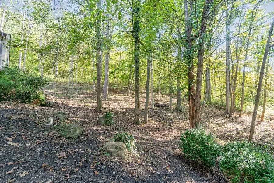 3533 Woodland Trail - House - 29
