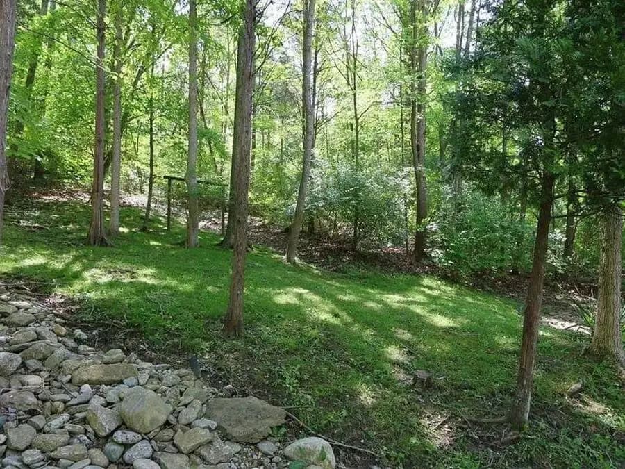 3533 Woodland Trail - House - 6