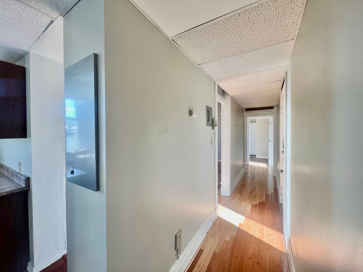 312 Ludlow Ave - Apartment - 25