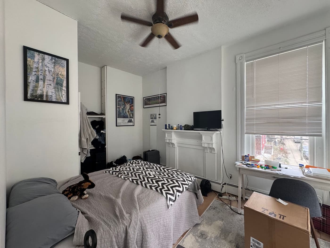 250 Warner St - Apartment - 12