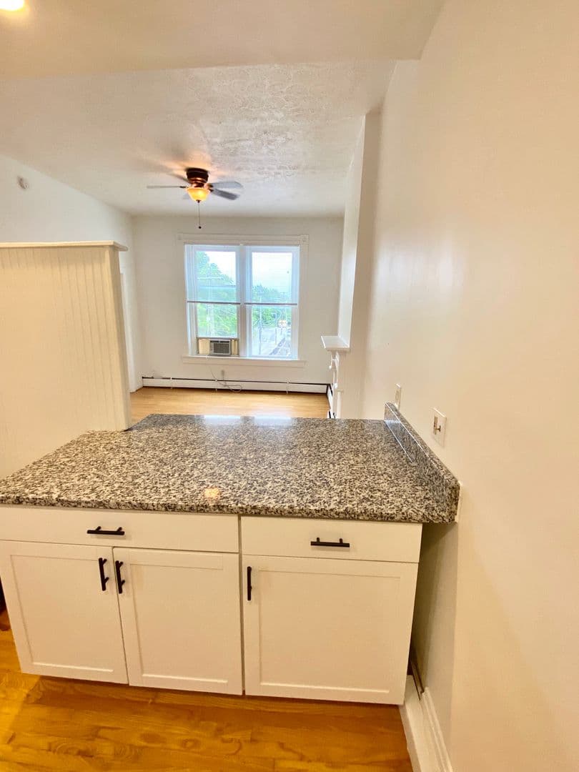 250 Warner St - Apartment - 3