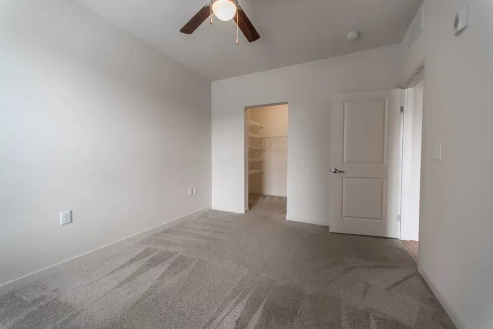 VP3 - Apartment - 50