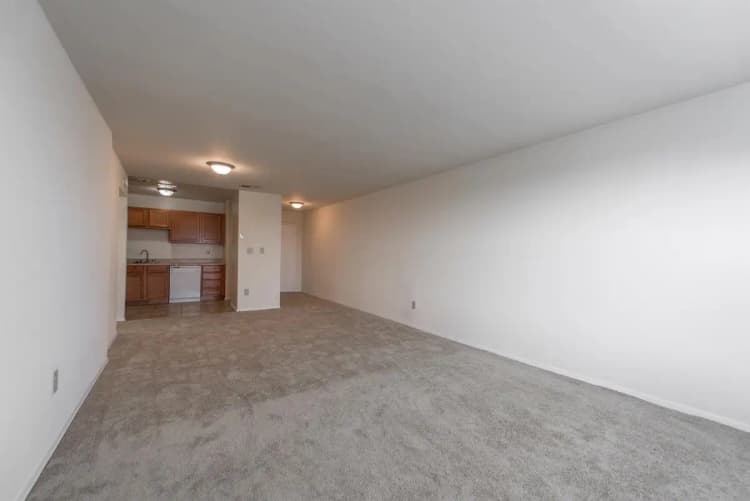 Cincinnati apartments for rent - image - 310 Oak- 704-6.jpg