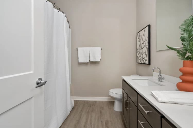 Cincinnati apartments for rent - image - 1 Bedroom + Den M4