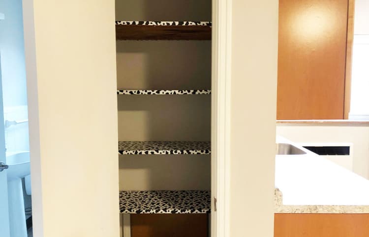 Cincinnati apartments for rent - image - large-717.jpg