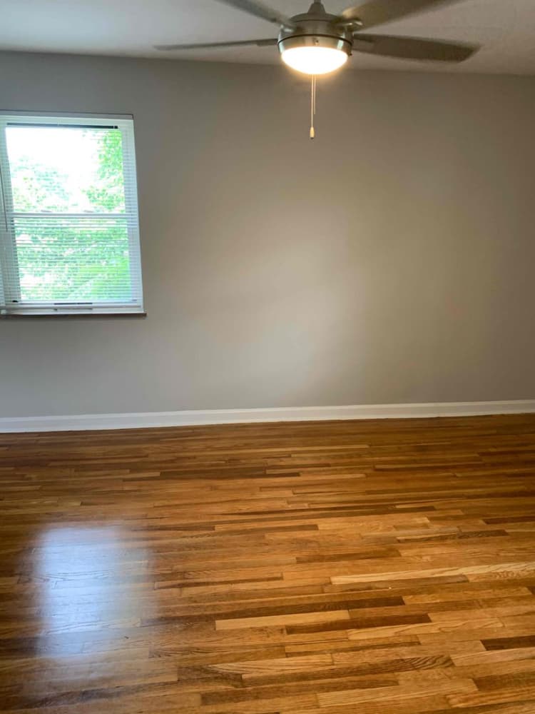 Cincinnati apartments for rent - image - large-743.jpg