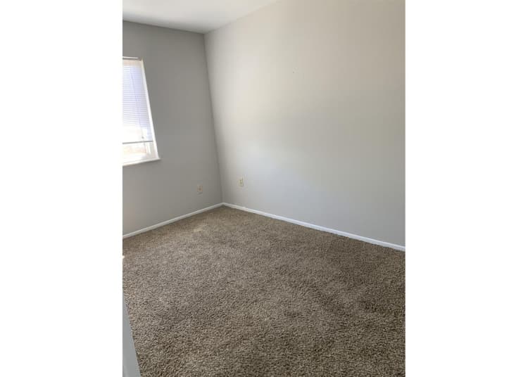 Cincinnati apartments for rent - image - large-2097.jpg