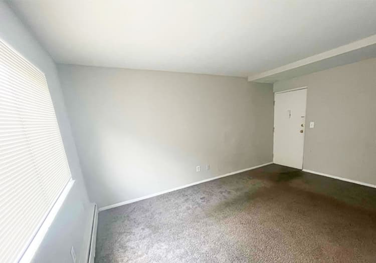 Cincinnati apartments for rent - image - large-641.jpg