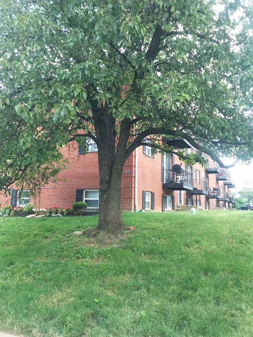 Beecher Flats - Apartment - 4