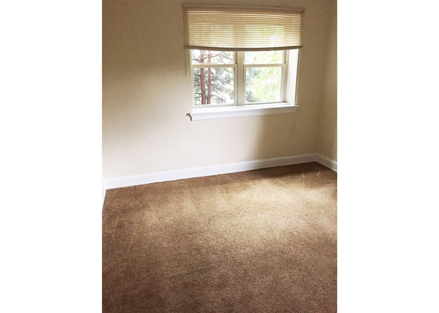 Clifwood Apartments - Apartment - 53