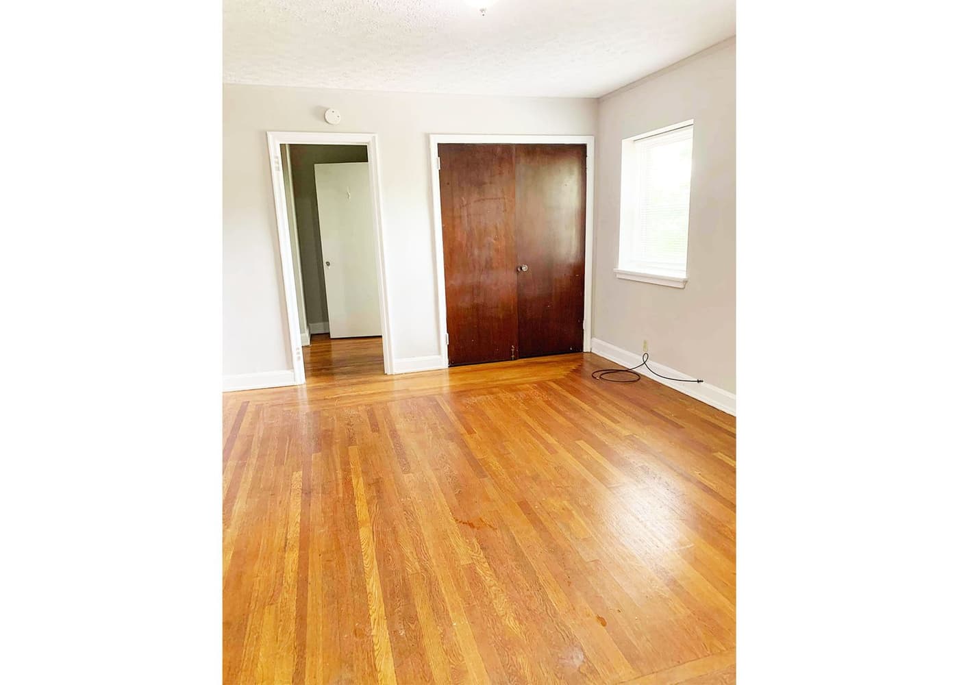 Clifwood Apartments - Apartment - 91