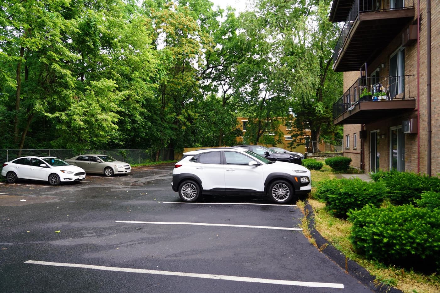 Burnet View Apartments - Apartment - 4