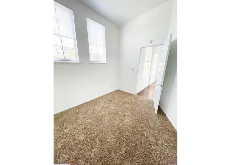 Cincinnati apartments for rent - image - large-845.jpg