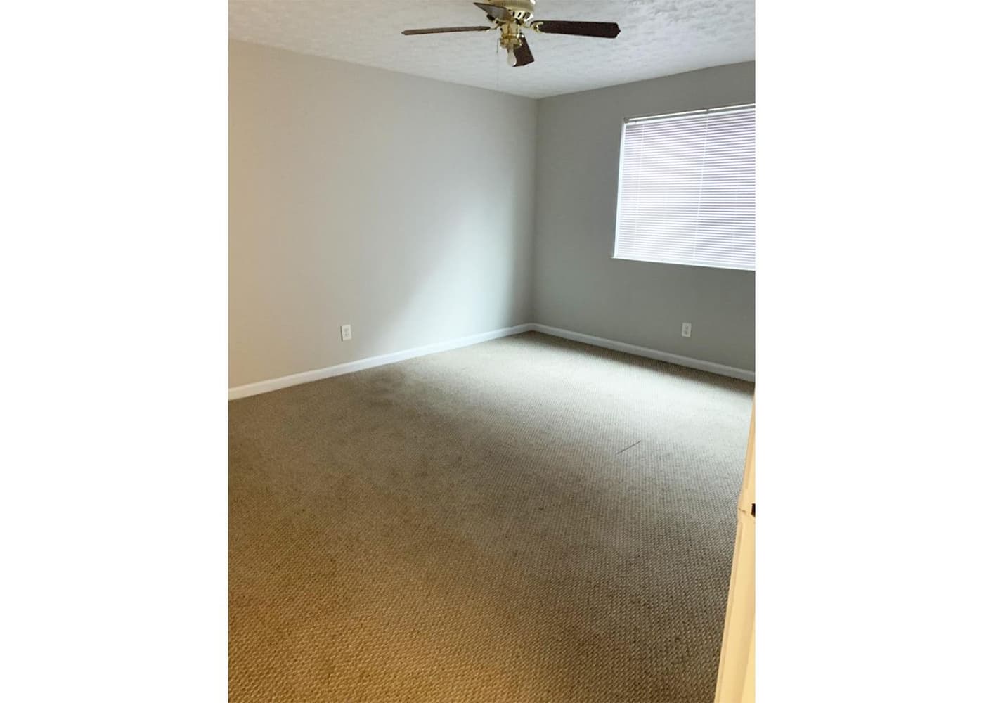 Cincinnati apartments for rent - image - large-467.jpg