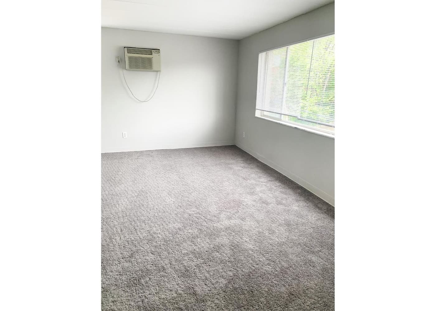 Cincinnati apartments for rent - image - large-3609.jpg