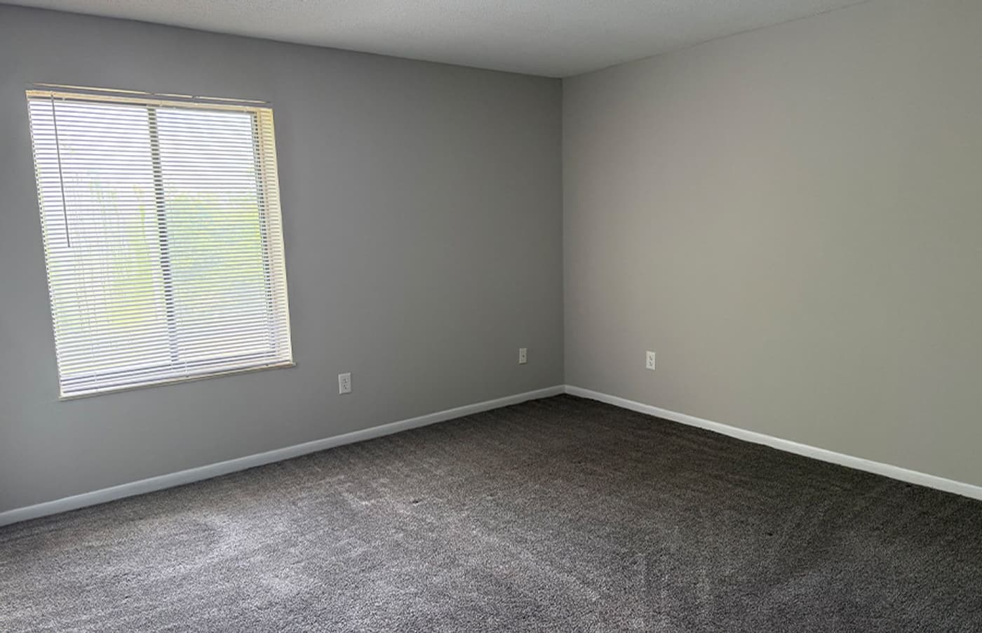 Cincinnati apartments for rent - image - large-1525.jpg