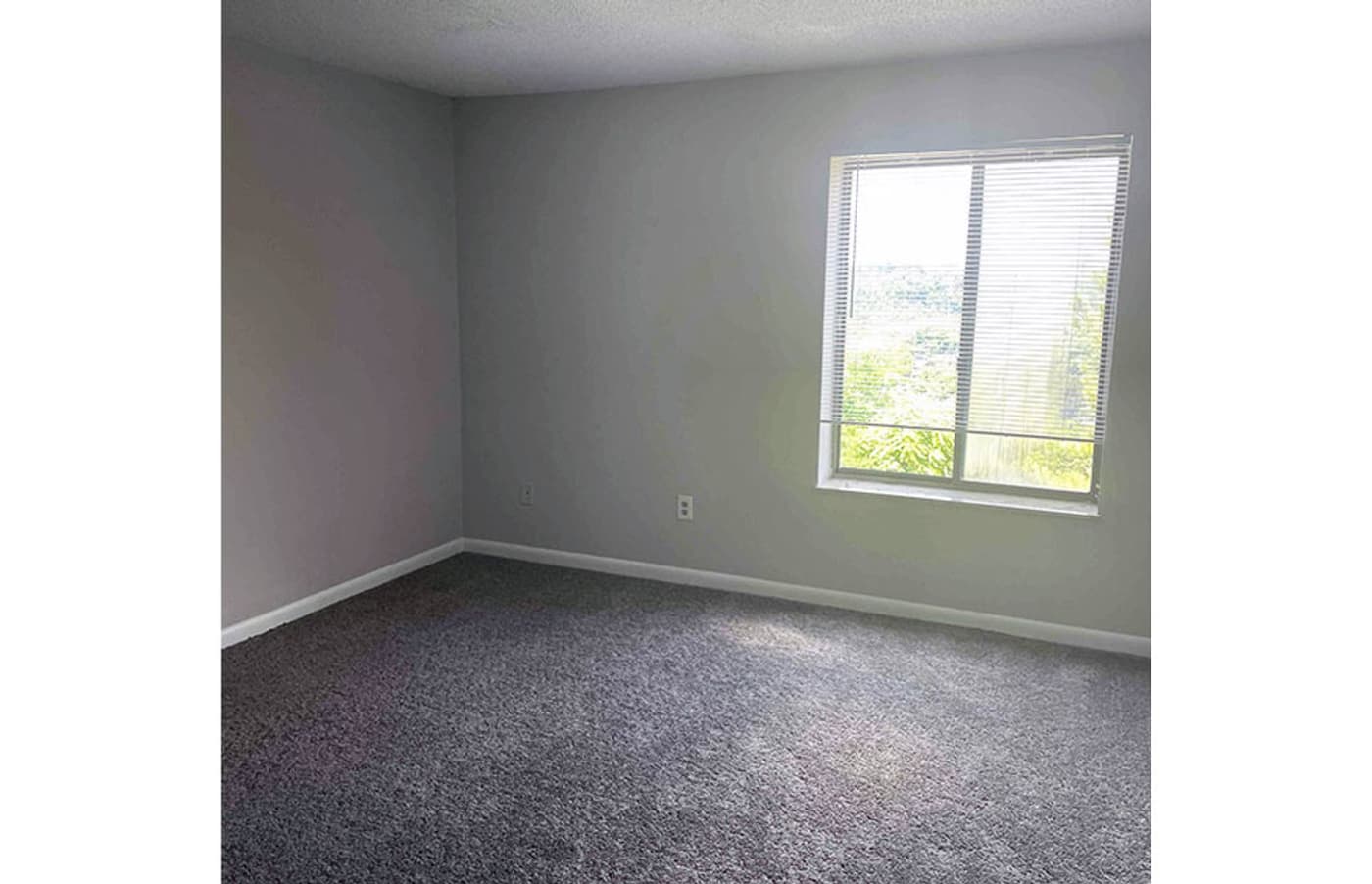 Cincinnati apartments for rent - image - large-1719.jpg