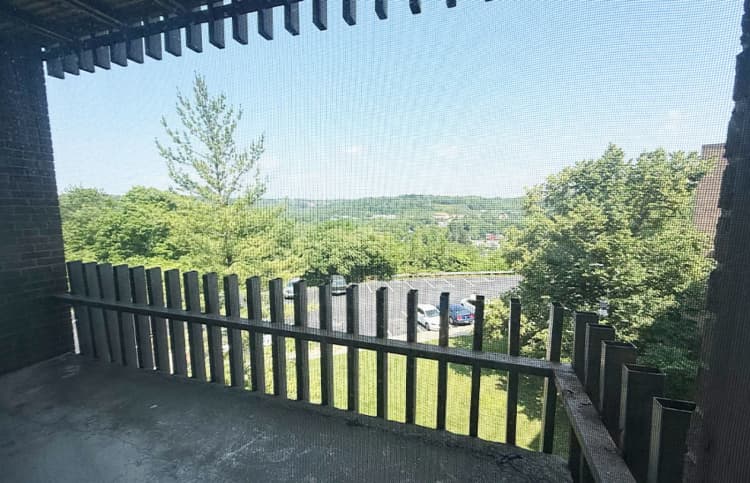 Cincinnati apartments for rent - image - large-1772.jpg