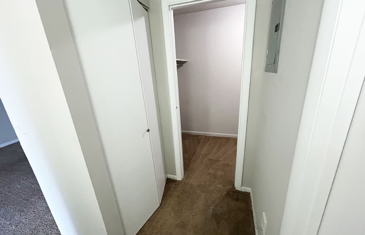 Spyglass Apartments - Apartment - 263