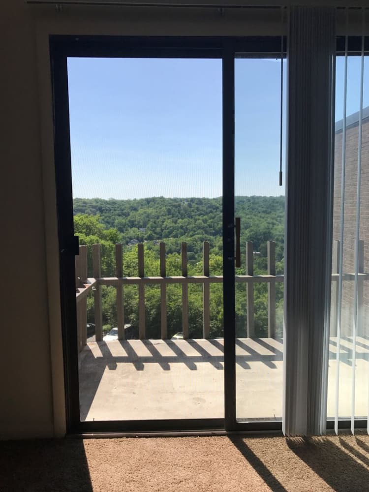 Cincinnati apartments for rent - image - large-187.jpg