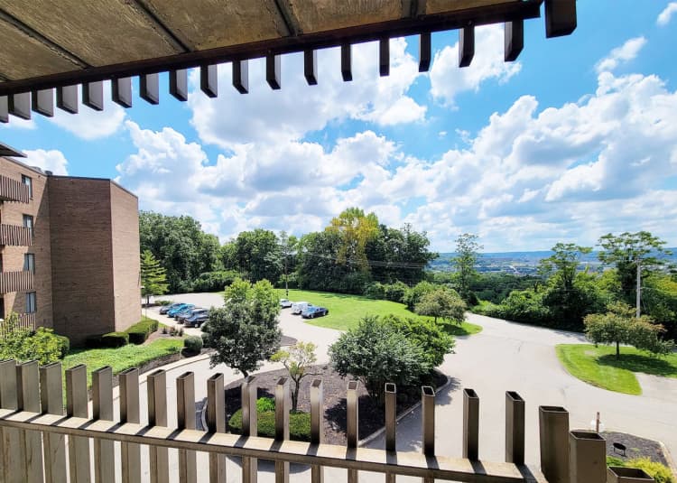 Cincinnati apartments for rent - image - large-197.jpg
