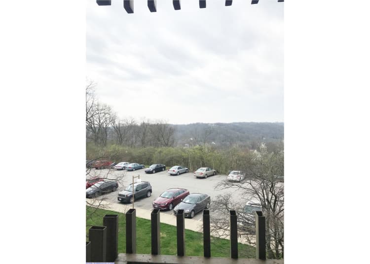 Cincinnati apartments for rent - image - large-3134.jpg