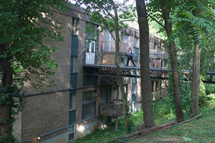 Cincinnati apartments for rent - image - large-1007.jpg