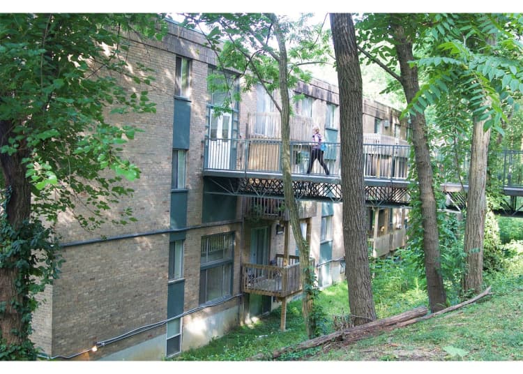 Cincinnati apartments for rent - image - large-1658.jpg