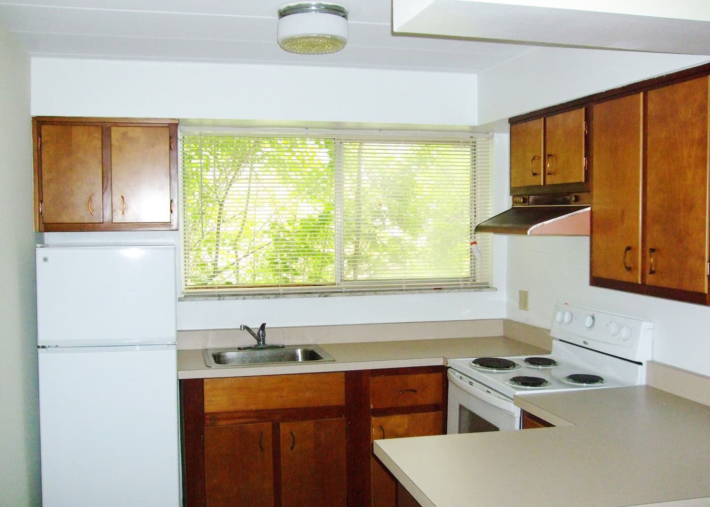 Cincinnati apartments for rent - image - large-1433.jpg