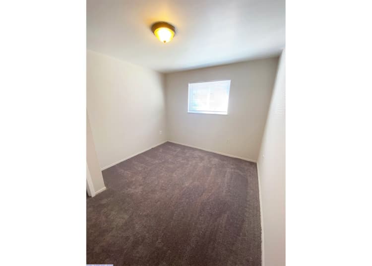 Cincinnati apartments for rent - image - large-667.jpg