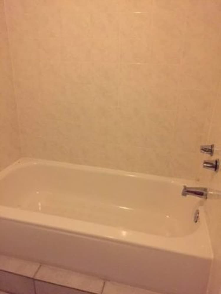 Cincinnati apartments for rent - image - large-1634.jpg