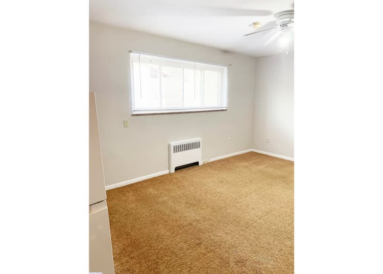 Cincinnati apartments for rent - image - large-1098.jpg