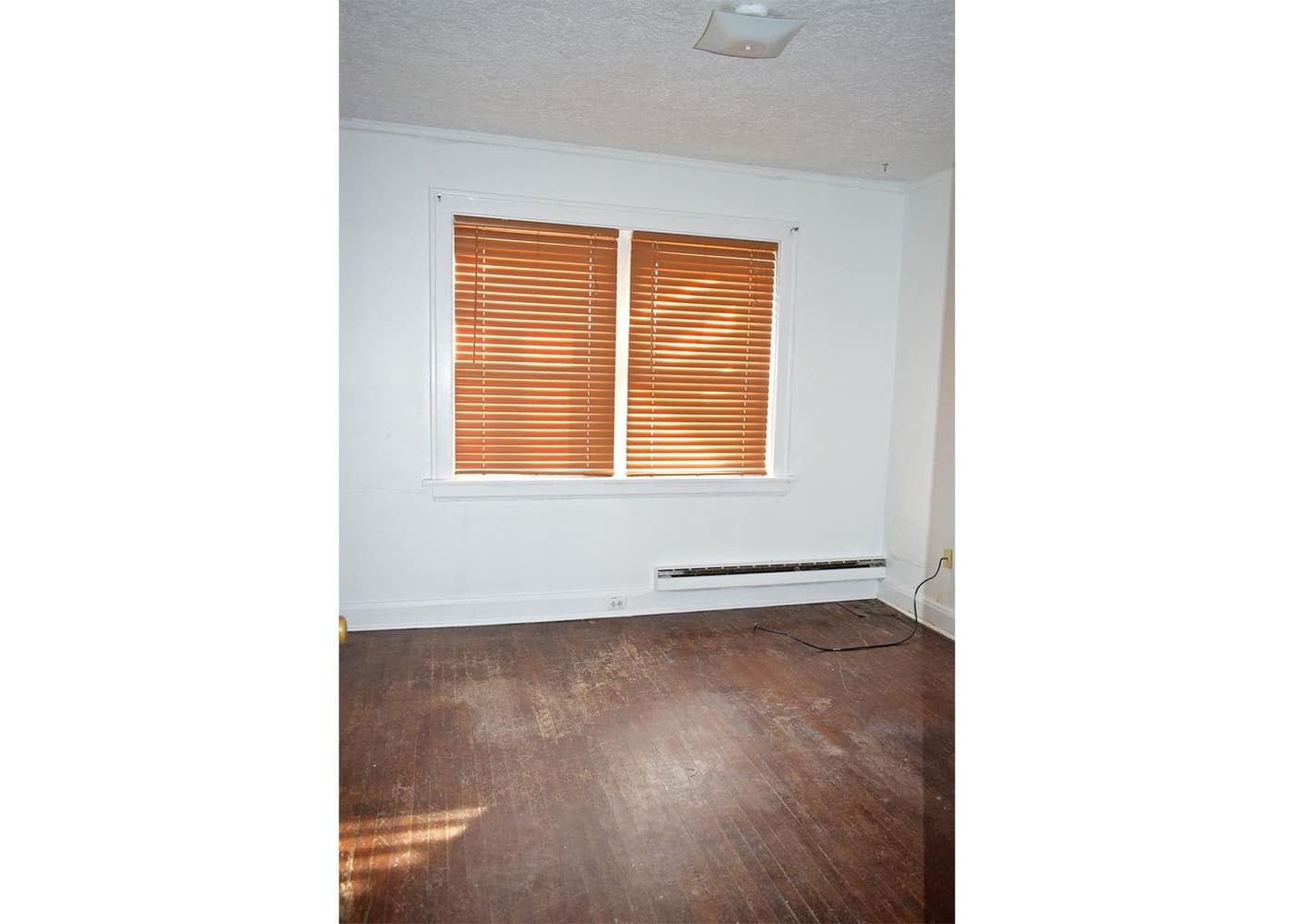 Cincinnati apartments for rent - image - large-3503.jpg