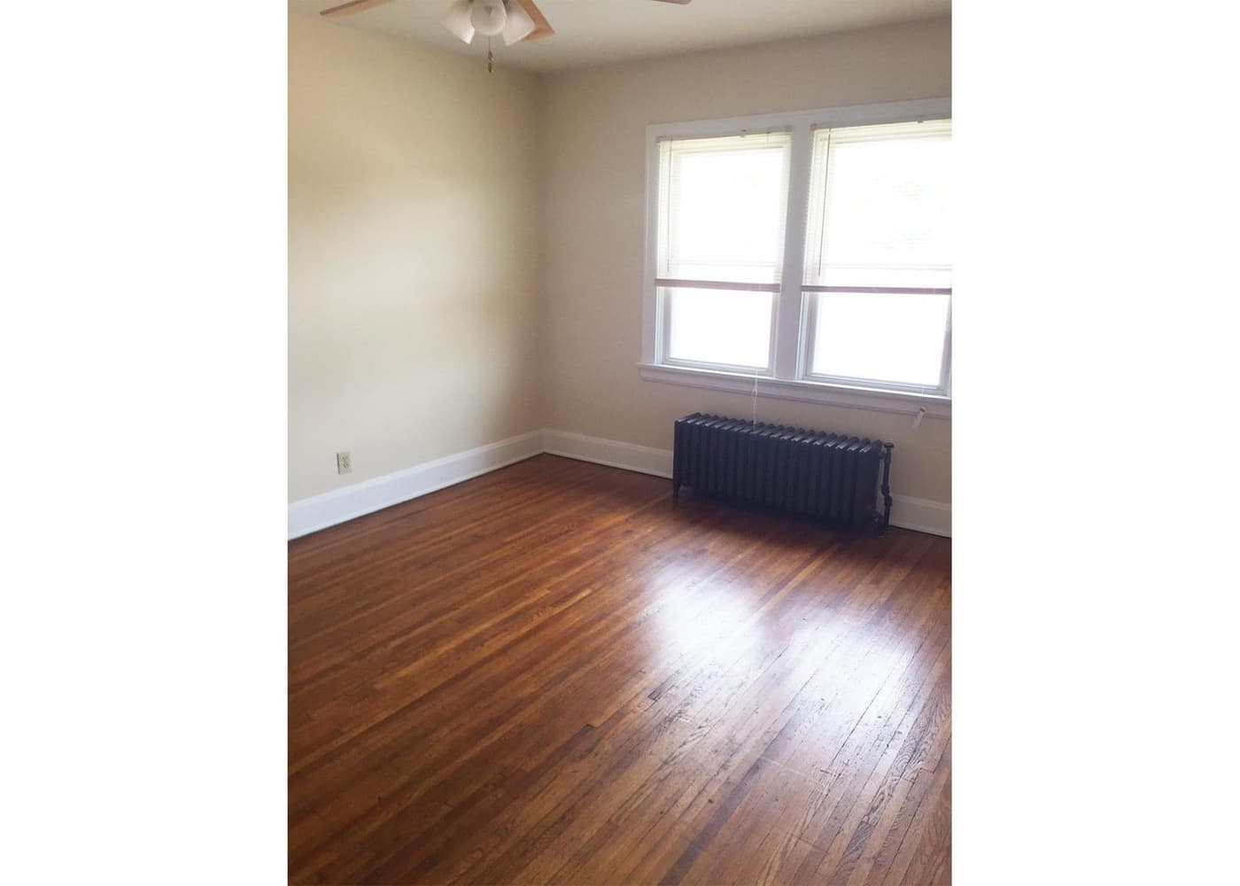 Cincinnati apartments for rent - image - large-1565.jpg