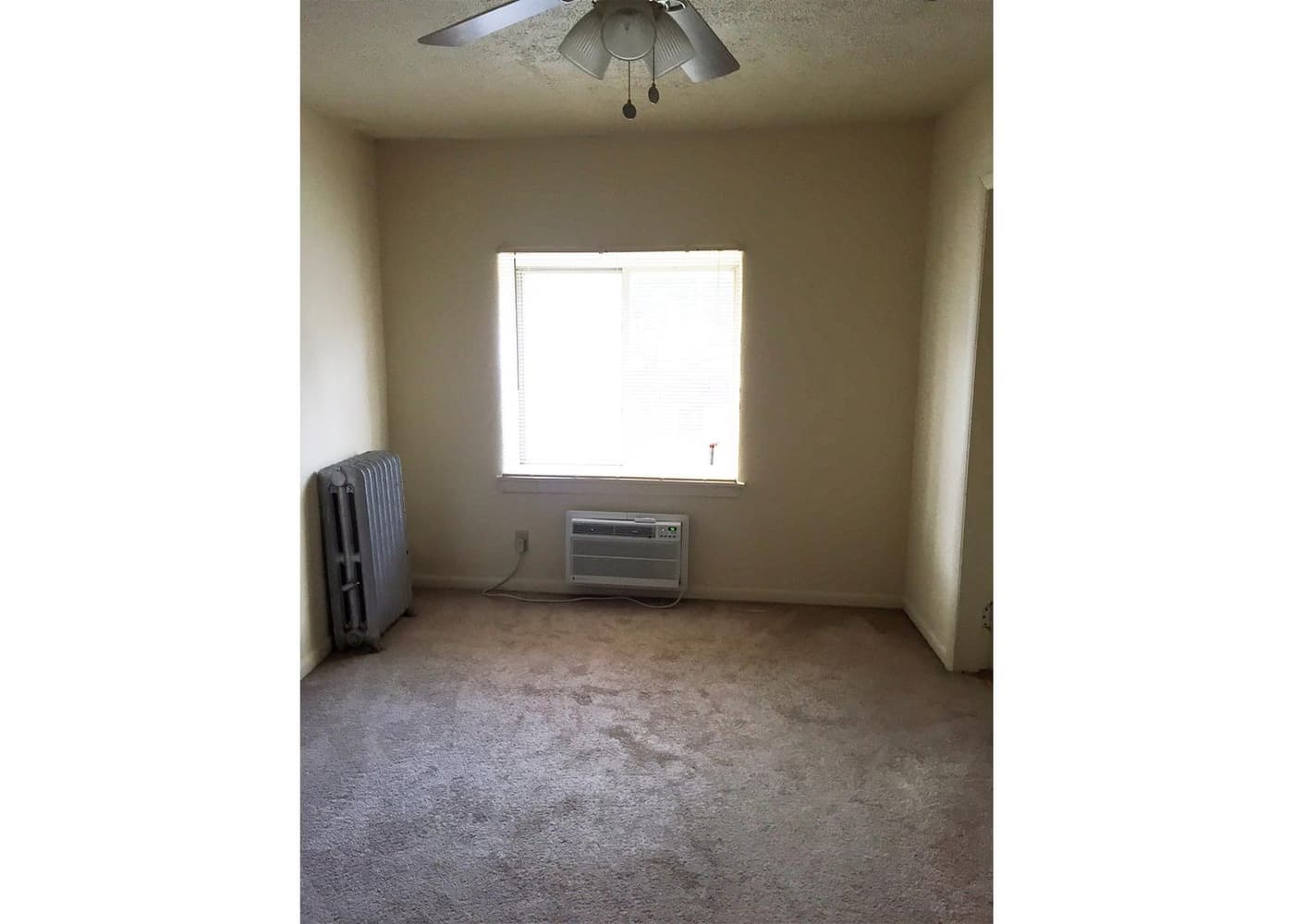Cincinnati apartments for rent - image - large-2468.jpg