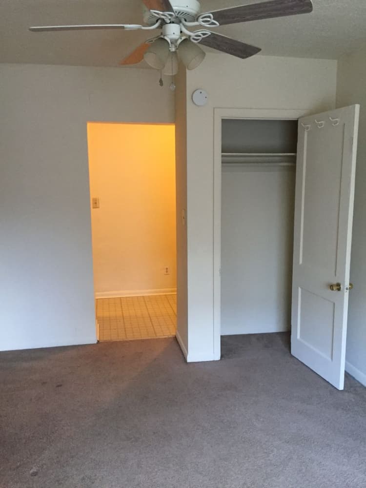 Cincinnati apartments for rent - image - large-2469.jpg