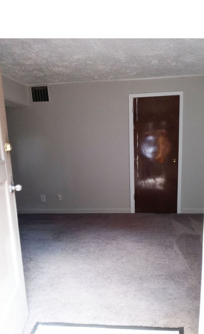 Cincinnati apartments for rent - image - large-3862.jpg