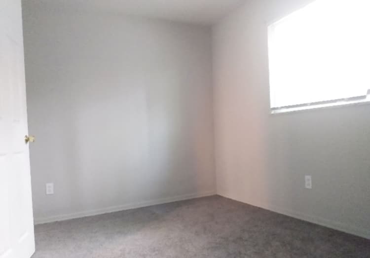 Cincinnati apartments for rent - image - large-1495.jpg