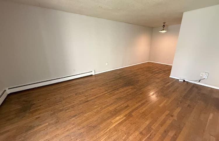 Cincinnati apartments for rent - image - large-3010.jpg