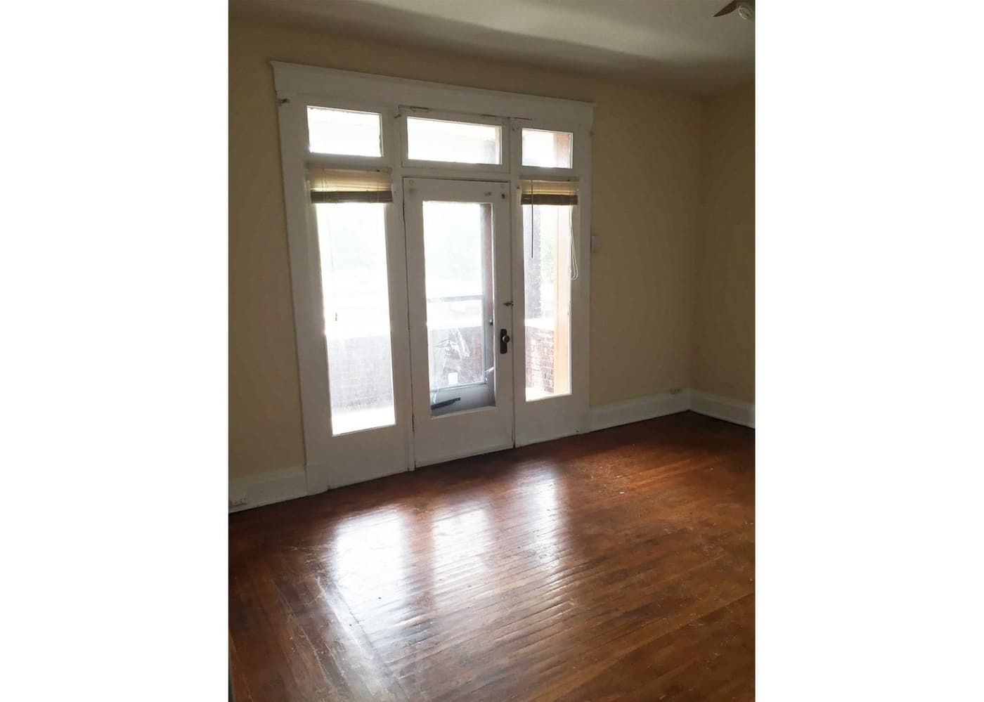 3238 Bishop Street - Apartment - 4