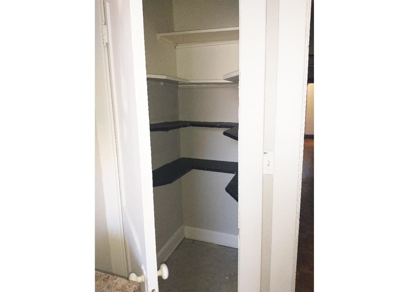 3238 Bishop Street - Apartment - 5