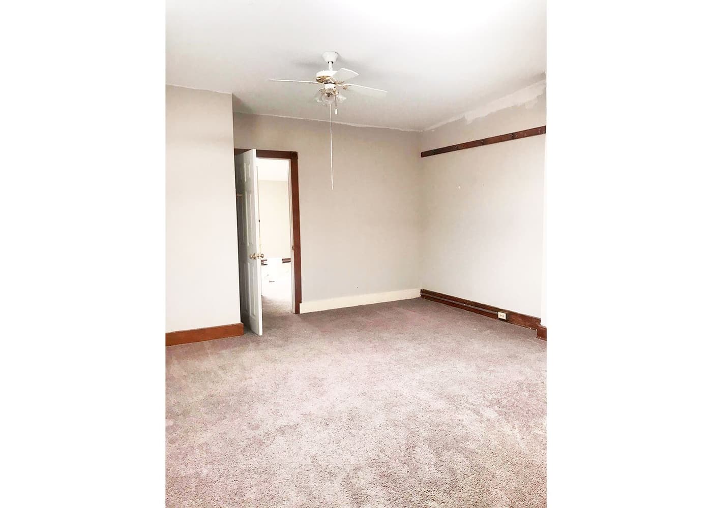 Cincinnati apartments for rent - image - large-2616.jpg