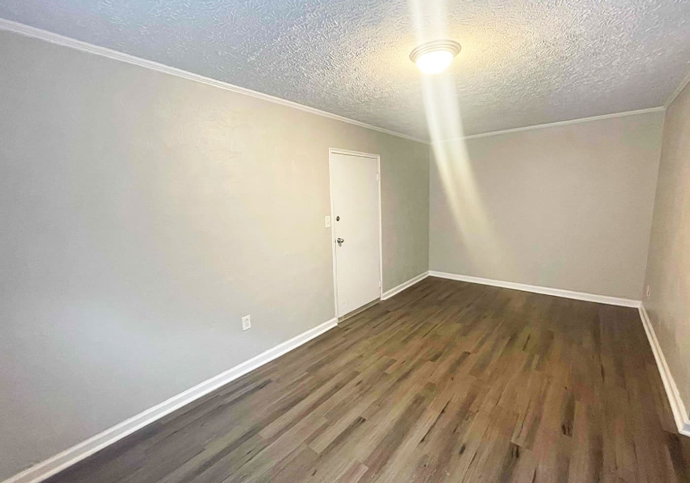 559 Lowell Avenue - Apartment - 4