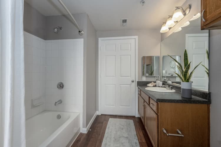 Cincinnati apartments for rent - image - unit103_10(1).webp