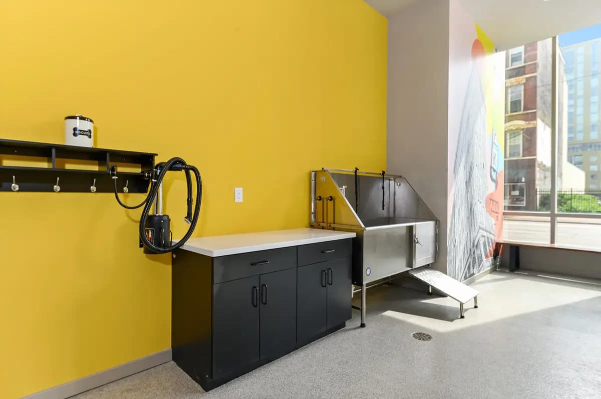 undefined apartments for rent - image - gallery-61.jpg - 0
