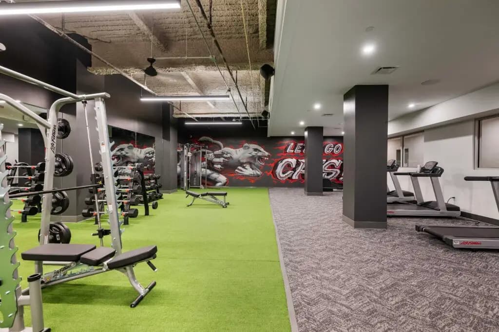 undefined apartments for rent - image - DSC_7477-1024x683.jpg - 3