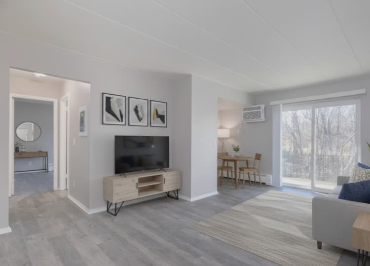 undefined apartments for rent - image - living room.jpeg