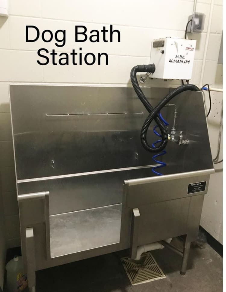 undefined apartments for rent - image - large-1335.jpg